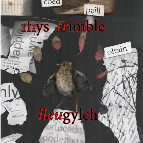 Lleugylch