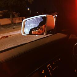 Expectations ( + Reverb)