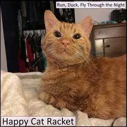 Run, Duck, Fly Through the Night