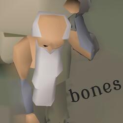 Bones