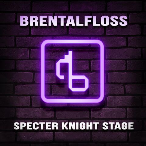 Specter Knight Stage (With Lyrics)