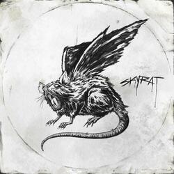 Vinny's Basement (Lessons)