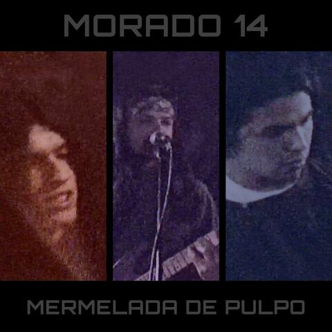 Morado 14