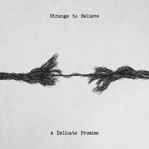 A Delicate Promise