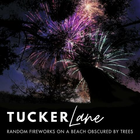 Random Fireworks on a Beach Obscured by Trees