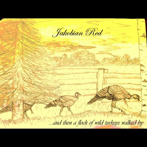 ...And Then a Flock of Wild Turkeys Walked by