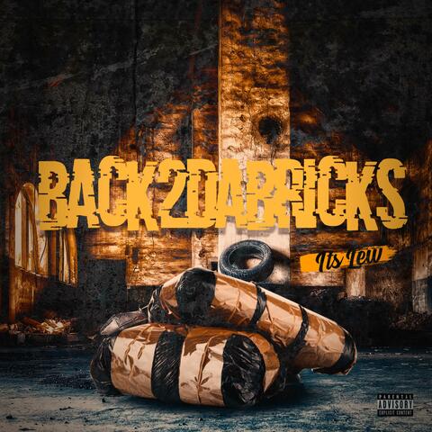 Back 2 Da Bricks