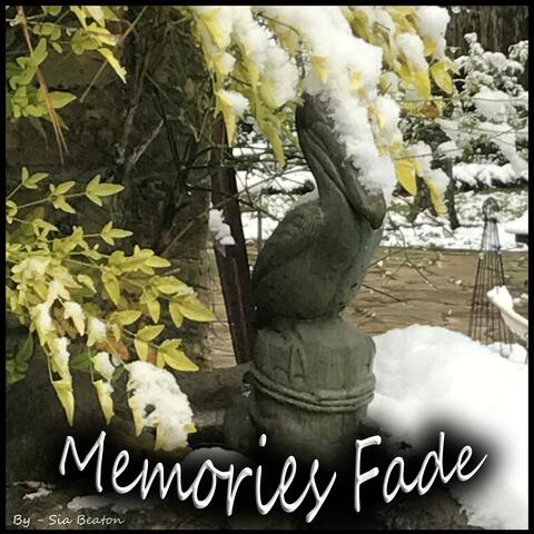 Memories Fade