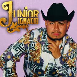 Lastimarme el Corazon