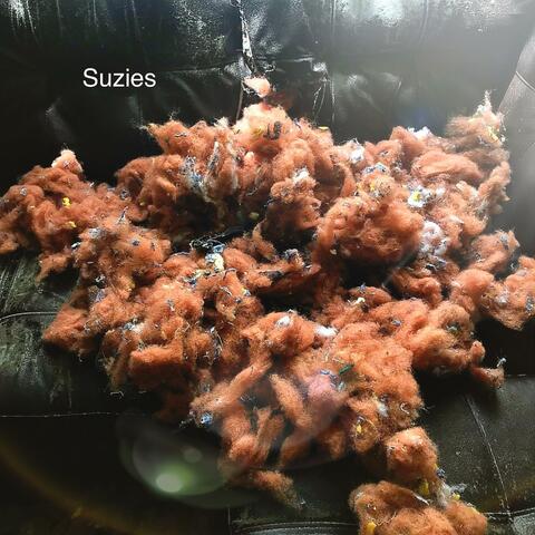 The Suzies