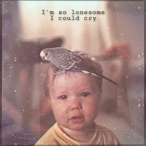 I'm So Lonesome I Could Cry