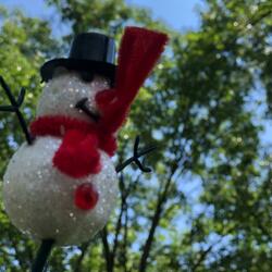 Snowman