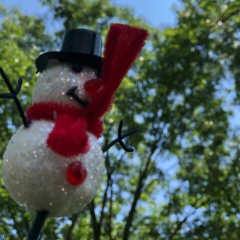 Snowman