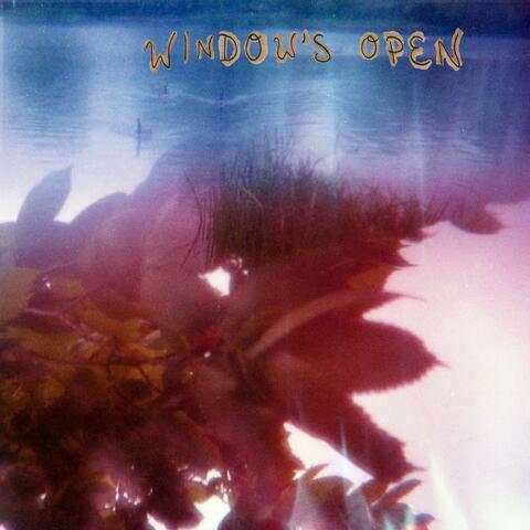 Window's Open