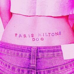 PARIS HILTON'S DOG