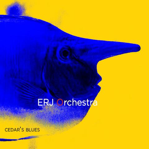 Cedar's Blues