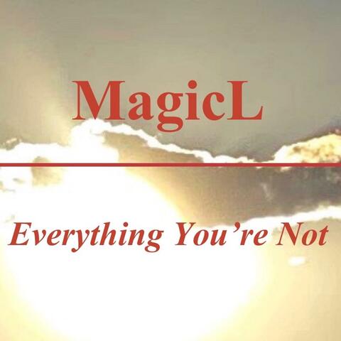 Everything You're Not