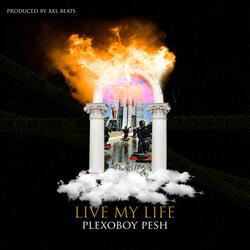 Live My Life