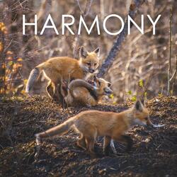 Harmony
