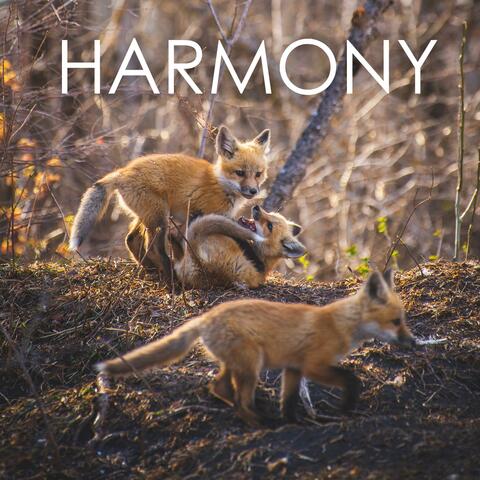 Harmony
