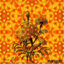 Marigold