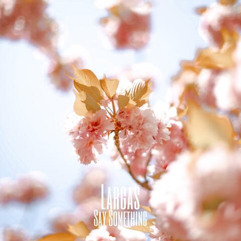 Say Something