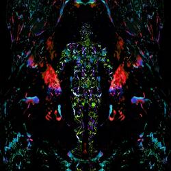 Remember What You Are