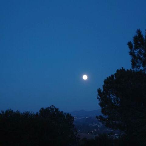 Every Blue Moon Is Mine