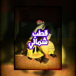 قطب شمالي