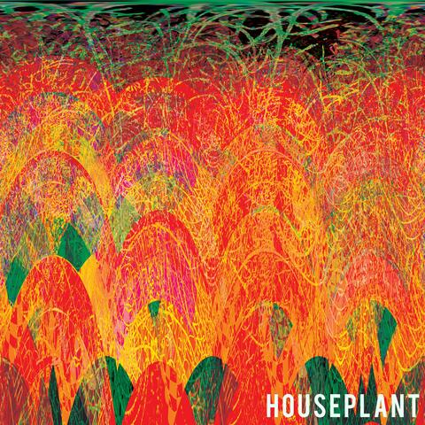 Houseplant