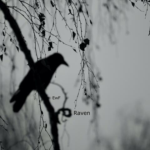 Raven