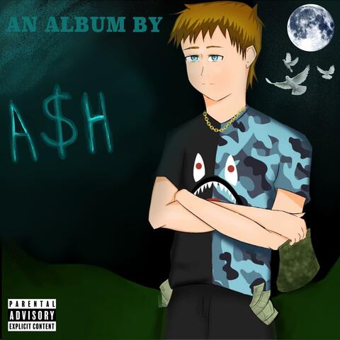An Album by Ash