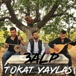 Tokat Yaylası