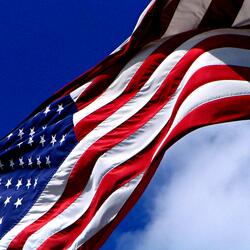 Land of the Brave and the Free