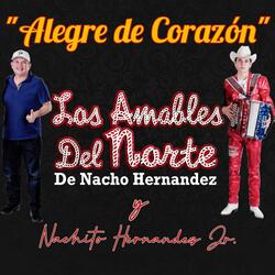 Alegre de Corazon (feat. Nacho Hernandez & Nachito Hernandez Jr.)