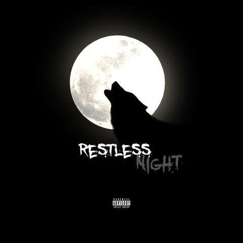 Restless Night