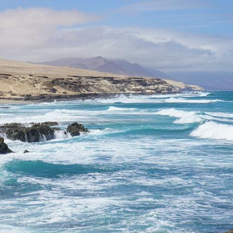 Love for My Island