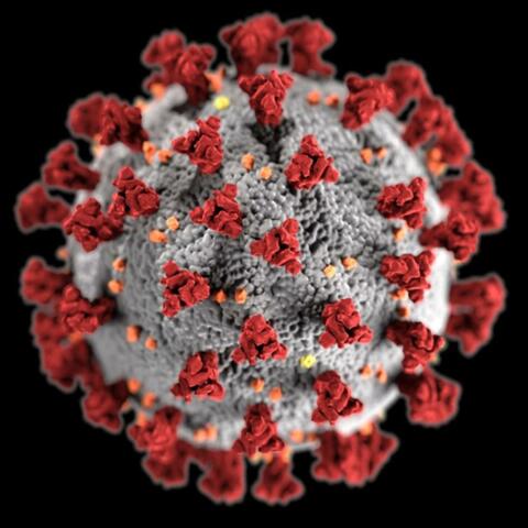 Kung Flu