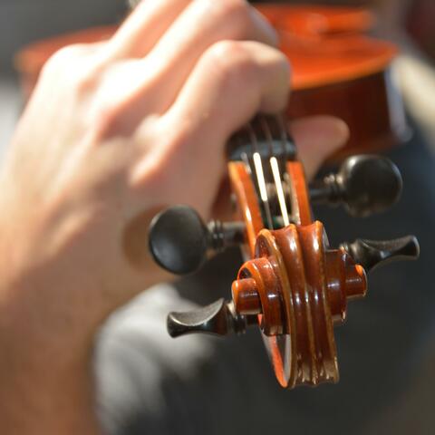Violinloops (Autumn Morning)