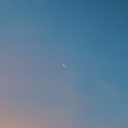 lonely, without you (feat. farewell)