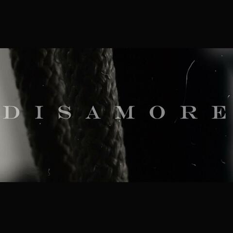 Disamore