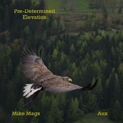 Pre-Determined Elevation (feat. Aux)