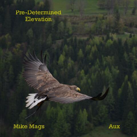 Pre-Determined Elevation (feat. Aux)