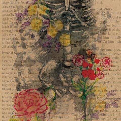 Bones
