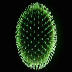 Virus