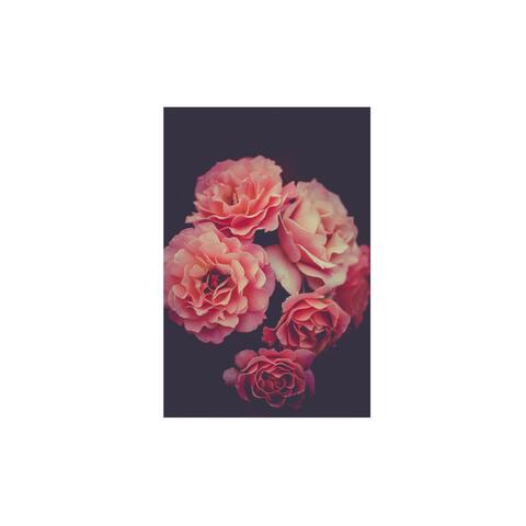 Always Forever