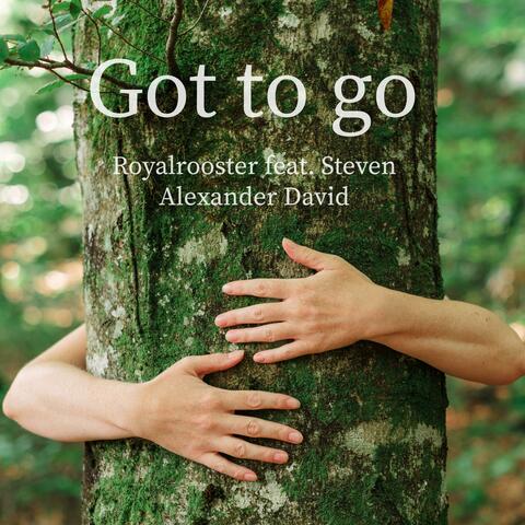 Got to Go (feat. Steven Alexander David)