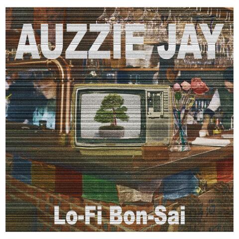 Lo-Fi Bon-Sai
