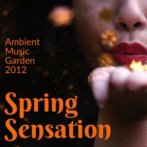 Spring Sensation