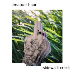 Sidewalk Crack